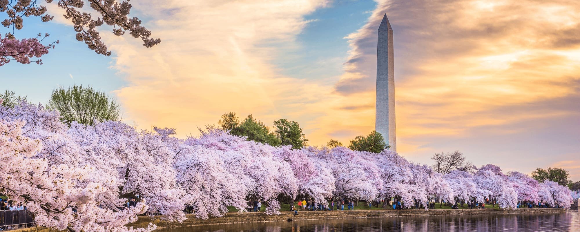 Washington D.C & Philadelphie
